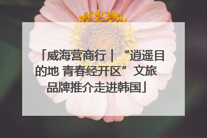 威海营商行｜“逍遥目的地 青春经开区”文旅品牌推介走进韩国