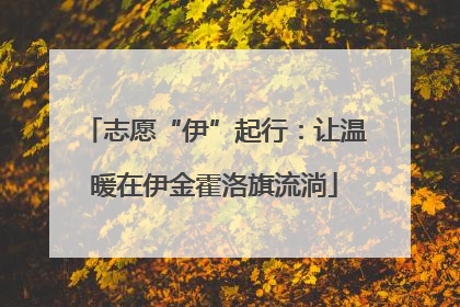 志愿“伊”起行：让温暖在伊金霍洛旗流淌