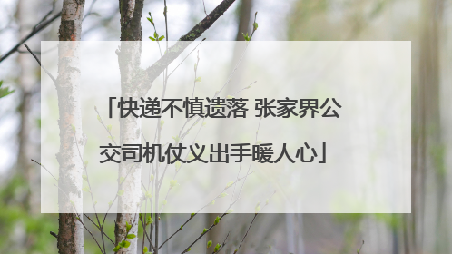快递不慎遗落 张家界公交司机仗义出手暖人心