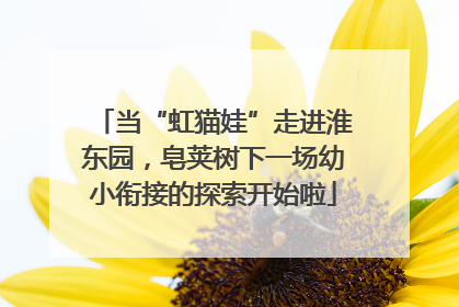 当“虹猫娃”走进淮东园，皂荚树下一场幼小衔接的探索开始啦