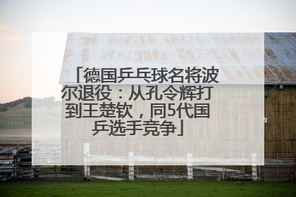 德国乒乓球名将波尔退役：从孔令辉打到王楚钦，同5代国乒选手竞争