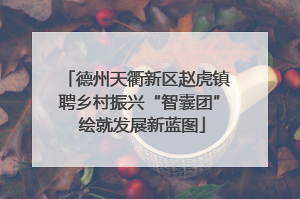 德州天衢新区赵虎镇聘乡村振兴“智囊团” 绘就发展新蓝图