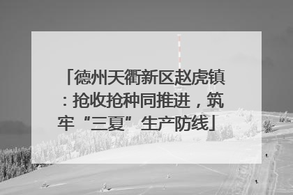 德州天衢新区赵虎镇：抢收抢种同推进，筑牢“三夏”生产防线
