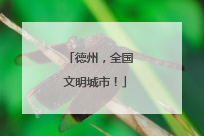 德州，全国文明城市！