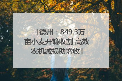 德州：849.3万亩小麦开镰收割 高效农机减损助增收
