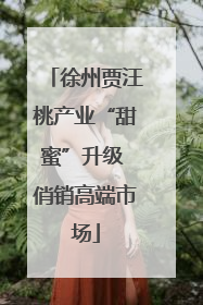 徐州贾汪桃产业“甜蜜”升级 俏销高端市场