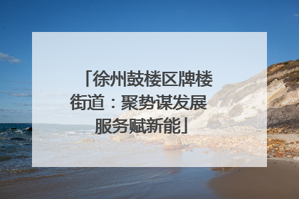 徐州鼓楼区牌楼街道：聚势谋发展 服务赋新能