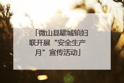微山县驩城镇妇联开展“安全生产月”宣传活动