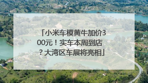 小米车模黄牛加价300元！实车本周到店？大湾区车展将亮相