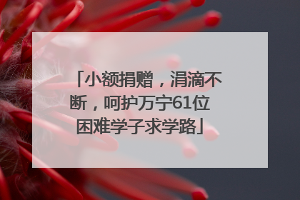 小额捐赠，涓滴不断，呵护万宁61位困难学子求学路