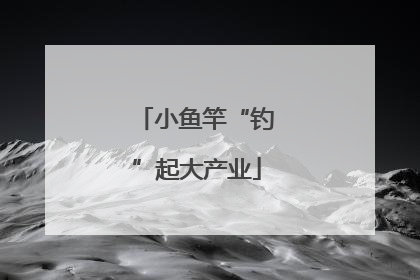 小鱼竿“钓”起大产业