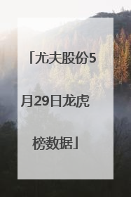 尤夫股份5月29日龙虎榜数据