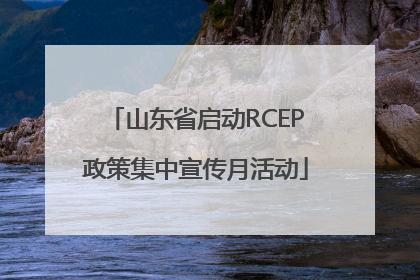 山东省启动RCEP政策集中宣传月活动