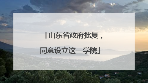 山东省政府批复，同意设立这一学院