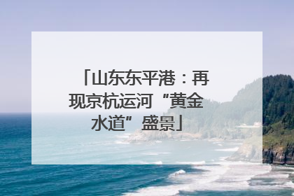 山东东平港：再现京杭运河“黄金水道”盛景