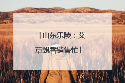 山东乐陵：艾草飘香销售忙