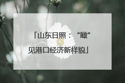 山东日照：“瞰”见港口经济新样貌