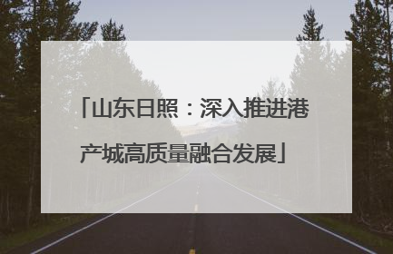 山东日照：深入推进港产城高质量融合发展