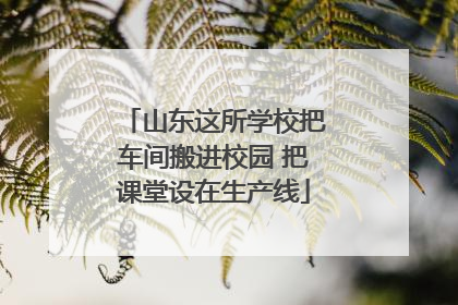 山东这所学校把车间搬进校园 把课堂设在生产线