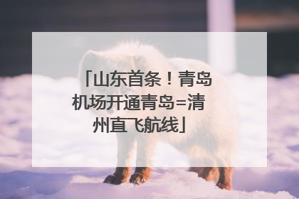 山东首条！青岛机场开通青岛=清州直飞航线