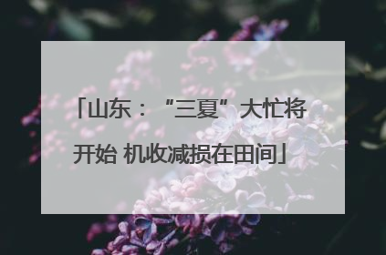 山东：“三夏”大忙将开始 机收减损在田间