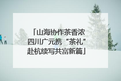 山海协作茶香浓 四川广元携“茶礼”赴杭续写共富新篇