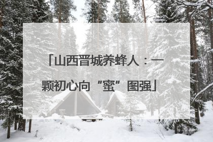山西晋城养蜂人：一颗初心向“蜜”图强