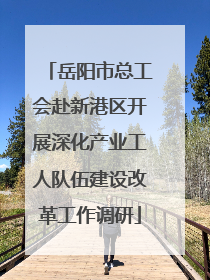 岳阳市总工会赴新港区开展深化产业工人队伍建设改革工作调研