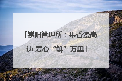 崇阳管理所：果香漫高速 爱心“鲜”万里