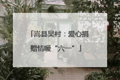 嵩县吴村：爱心捐赠情暖“六一”