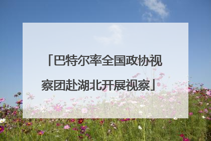 巴特尔率全国政协视察团赴湖北开展视察