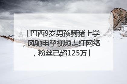 巴西9岁男孩骑猪上学，风驰电掣视频走红网络，粉丝已超125万