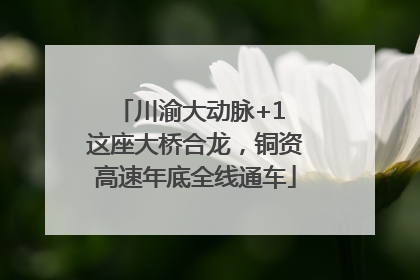 川渝大动脉+1 这座大桥合龙，铜资高速年底全线通车