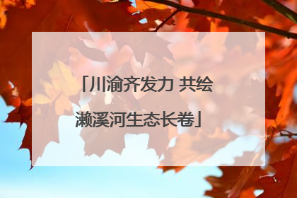 川渝齐发力 共绘濑溪河生态长卷