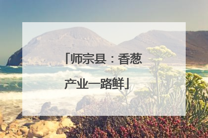师宗县：香葱产业一路鲜