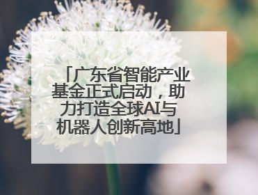 广东省智能产业基金正式启动，助力打造全球AI与机器人创新高地