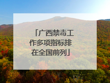 广西禁毒工作多项指标排在全国前列