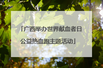 广西举办世界献血者日公益热血跑主题活动