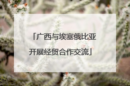 广西与埃塞俄比亚开展经贸合作交流