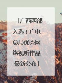 广西两部入选！广电总局优秀网络视听作品最新公布