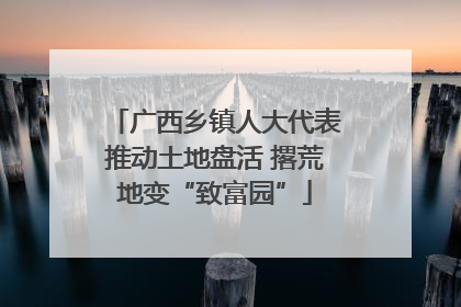 广西乡镇人大代表推动土地盘活 撂荒地变“致富园”