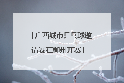 广西城市乒乓球邀请赛在柳州开赛