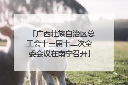广西壮族自治区总工会十三届十二次全委会议在南宁召开