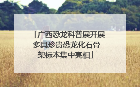 广西恐龙科普展开展 多具珍贵恐龙化石骨架标本集中亮相