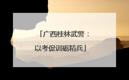 广西桂林武警：以考促训砺精兵