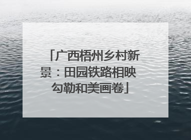 广西梧州乡村新景：田园铁路相映 勾勒和美画卷