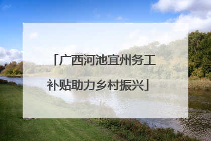 广西河池宜州务工补贴助力乡村振兴