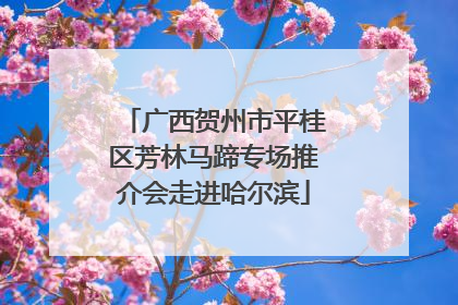 广西贺州市平桂区芳林马蹄专场推介会走进哈尔滨