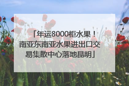 年运8000柜水果！南亚东南亚水果进出口交易集散中心落地昆明
