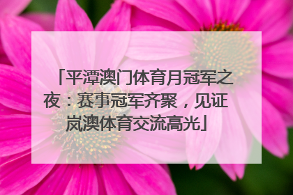 平潭澳门体育月冠军之夜：赛事冠军齐聚，见证岚澳体育交流高光